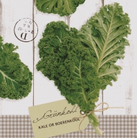Linclass Servietten 40x40 cm - Grünkohl
