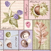 Tissue Servietten 33x33 cm - Jerry