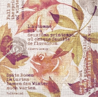 Tissue Servietten 33x33 cm - Gunnar  (terrakotta)