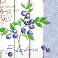 Tissue Servietten 33x33 cm - Blaubeere