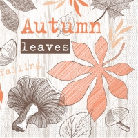 Tissue Servietten 40x40 cm - Adam  (terra/braun)