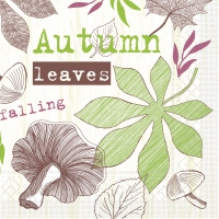 Tissue Servietten 40x40 cm - Adam  (kiwi/beere)