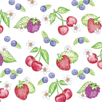 Tissue Servietten 40x40 cm - Renate