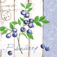Tissue Servietten 40x40 cm - Blaubeere