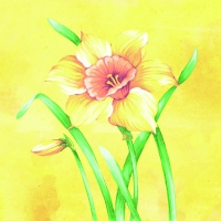 Linclass Servietten 40x40 cm - Elvira Linclass Servietten 40x40 cm - Elvira