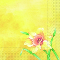 Tissue Servietten 40x40 cm - Elvira Tissue Servietten 40x40 cm - Elvira