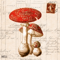 Servietten 33x33 cm - Amanita Muscaria