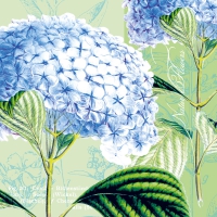 Servietten 33x33 cm - Hydrangea 