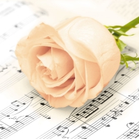 Servietten 25x25 cm - Classic Rose