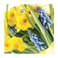 Servietten 25x25 cm - Spring Time