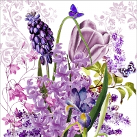 Servietten 25x25 cm - Francine