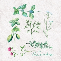 Servietten 33x33 cm - Herbary Servietten 33x33 cm - Herbary