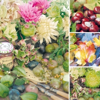 Servietten 33x33 cm - Ambika