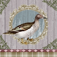 Servietten 33x33 cm - Duck Portrait