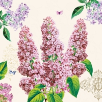 Servietten 33x33 cm - Syringa