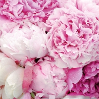 Servietten 33x33 cm - Pink Beauty