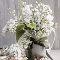 Servietten 33x33 cm - Orlene