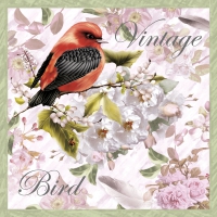 Servietten 33x33 cm - Vintage Bird
