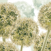 Servietten 33x33 cm - Patricia