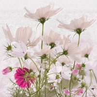 Servietten 33x33 cm - Lynette