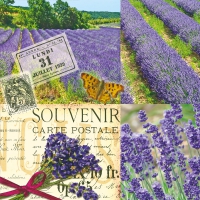 Servietten 33x33 cm - Lavender Scent