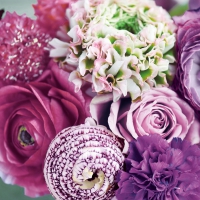 Servietten 33x33 cm - Talitha