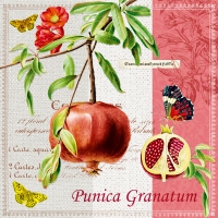 Servietten 33x33 cm - Punica Granatum