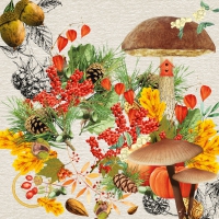 Servietten 33x33 cm - Forest Fruits