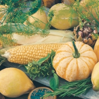 Servietten 33x33 cm - Harvest  