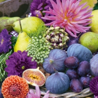 Servietten 33x33 cm - Naike