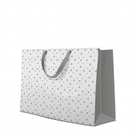 10 Geschenktaschen - Dots Texture  silver horizontal