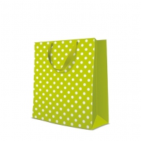 10 Geschenktaschen - Dotsy Check  kiwi large