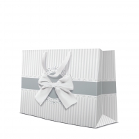 10 Geschenktaschen - Occasional Gift silver horizontal