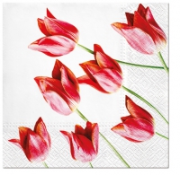 Servietten 33x33 cm - Red Tulips