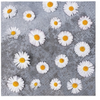 Servietten 33x33 cm - Daisies Love