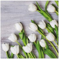 Servietten 33x33 cm - White Tulips