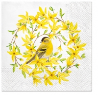 Servietten 33x33 cm - Forsythia & Bird