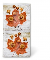 Taschentücher - TT Wild forest fruits