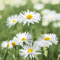 Servietten 25x25 cm - Full of daisies