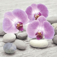 Servietten 25x25 cm - Orchids on stones