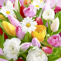 Servietten 25x25 cm - Colourful greetings Servietten 25x25 cm - Colourful greetings