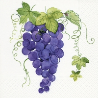 Servietten 25x25 cm - Uva rossa