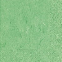 Servietten 24x24 cm - Pure mint green