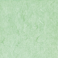 Servietten 24x24 cm - Pure pale green