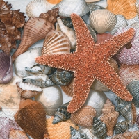 Servietten 33x33 cm - From the seabed