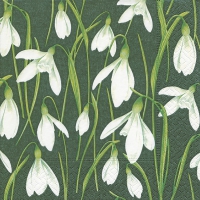 Servietten 33x33 cm - Painted snowdrops
