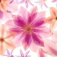 Servietten 33x33 cm - Pressed flowers