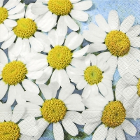 Servietten 33x33 cm - Camomille