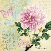 Servietten 33x33 cm - Päonia