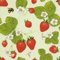 Servietten 33x33 cm - Strawberry field